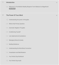 Load image into Gallery viewer, The Mindful Wealth Blueprint: From Mediocre To Magnificent