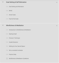 Load image into Gallery viewer, The Mindful Wealth Blueprint: From Mediocre To Magnificent